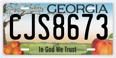 GA license plate CJS8673