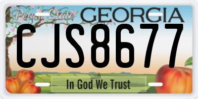 GA license plate CJS8677