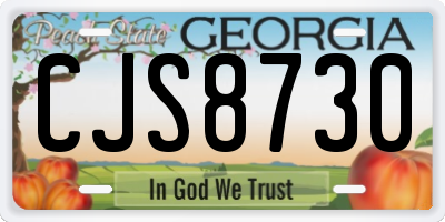 GA license plate CJS8730