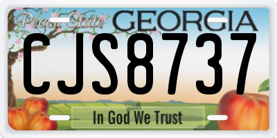 GA license plate CJS8737