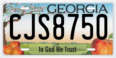 GA license plate CJS8750