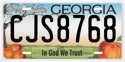 GA license plate CJS8768