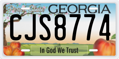 GA license plate CJS8774