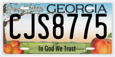 GA license plate CJS8775