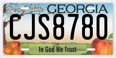 GA license plate CJS8780