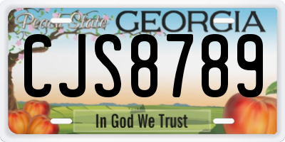 GA license plate CJS8789