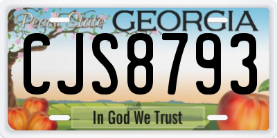GA license plate CJS8793