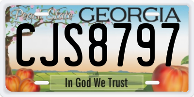 GA license plate CJS8797