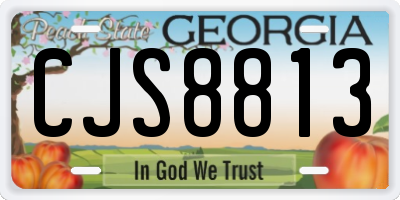 GA license plate CJS8813