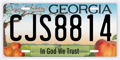 GA license plate CJS8814