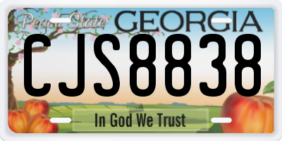 GA license plate CJS8838