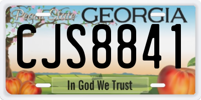 GA license plate CJS8841