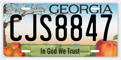 GA license plate CJS8847
