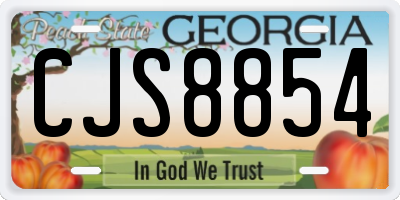 GA license plate CJS8854