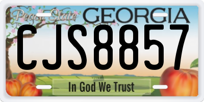 GA license plate CJS8857