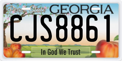 GA license plate CJS8861