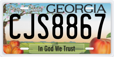 GA license plate CJS8867