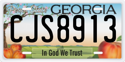 GA license plate CJS8913