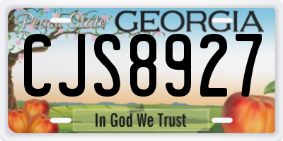 GA license plate CJS8927