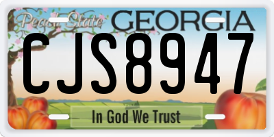 GA license plate CJS8947