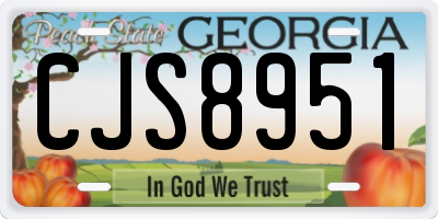 GA license plate CJS8951