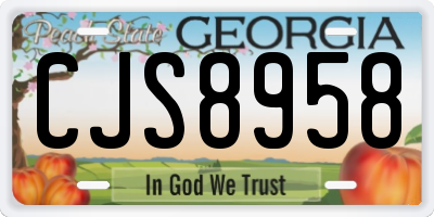 GA license plate CJS8958