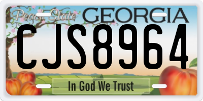 GA license plate CJS8964