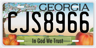 GA license plate CJS8966