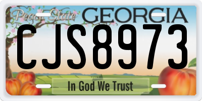 GA license plate CJS8973