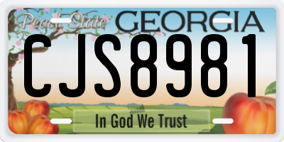 GA license plate CJS8981