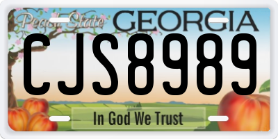 GA license plate CJS8989