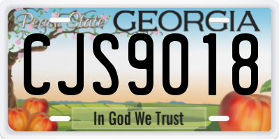 GA license plate CJS9018