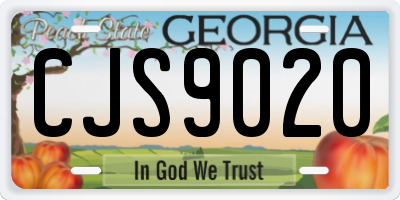 GA license plate CJS9020