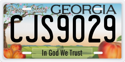 GA license plate CJS9029