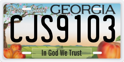 GA license plate CJS9103
