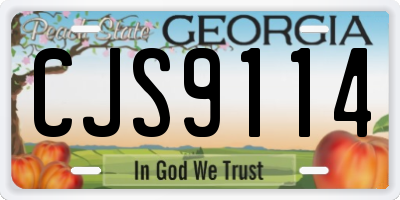 GA license plate CJS9114