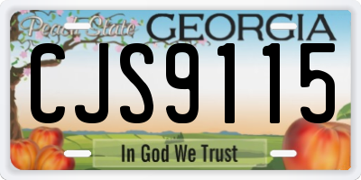 GA license plate CJS9115