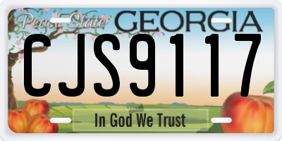 GA license plate CJS9117