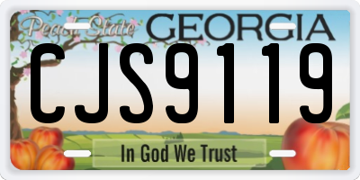 GA license plate CJS9119