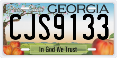 GA license plate CJS9133
