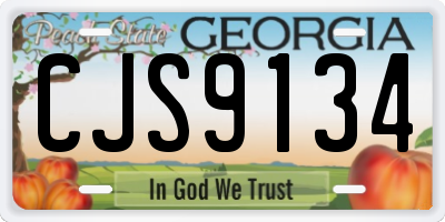 GA license plate CJS9134