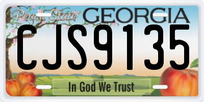 GA license plate CJS9135