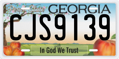 GA license plate CJS9139