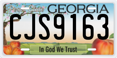 GA license plate CJS9163