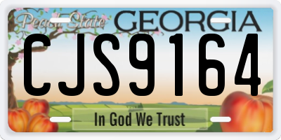 GA license plate CJS9164
