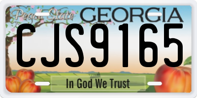 GA license plate CJS9165