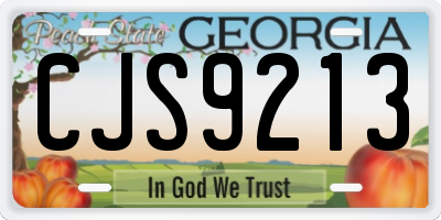 GA license plate CJS9213