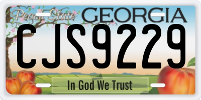 GA license plate CJS9229