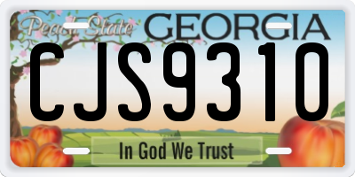 GA license plate CJS9310