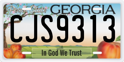 GA license plate CJS9313